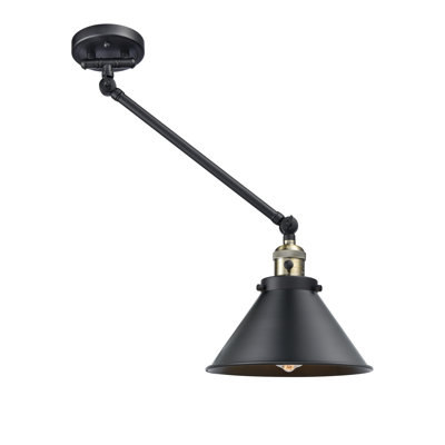 Shauna Swing Arm Sconce