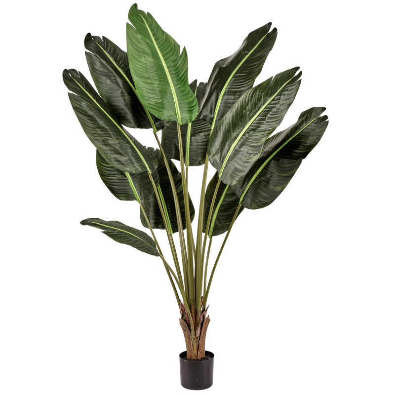 Arbre en pot 60 po, H 60 po x l 34 po x P 34 po