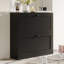 Armoire de rangement à chaussures Whalan avec 2 tiroirs rabattables-1567465165