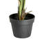 Faux Palm Tree in Pot-261391351