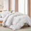 Édredon en duvet 600-674792363-695318301