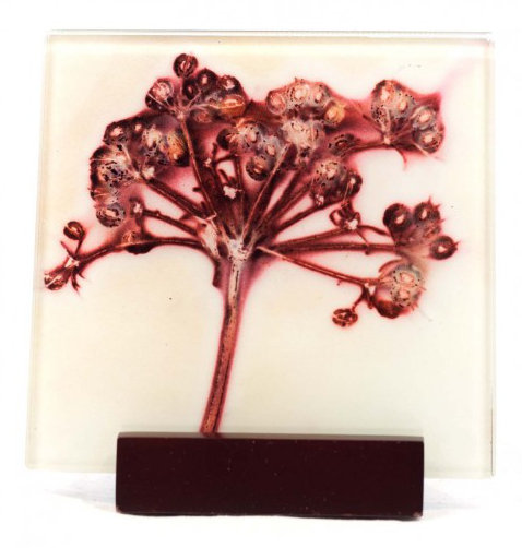 Glass Square 2 Piece Coaster Set