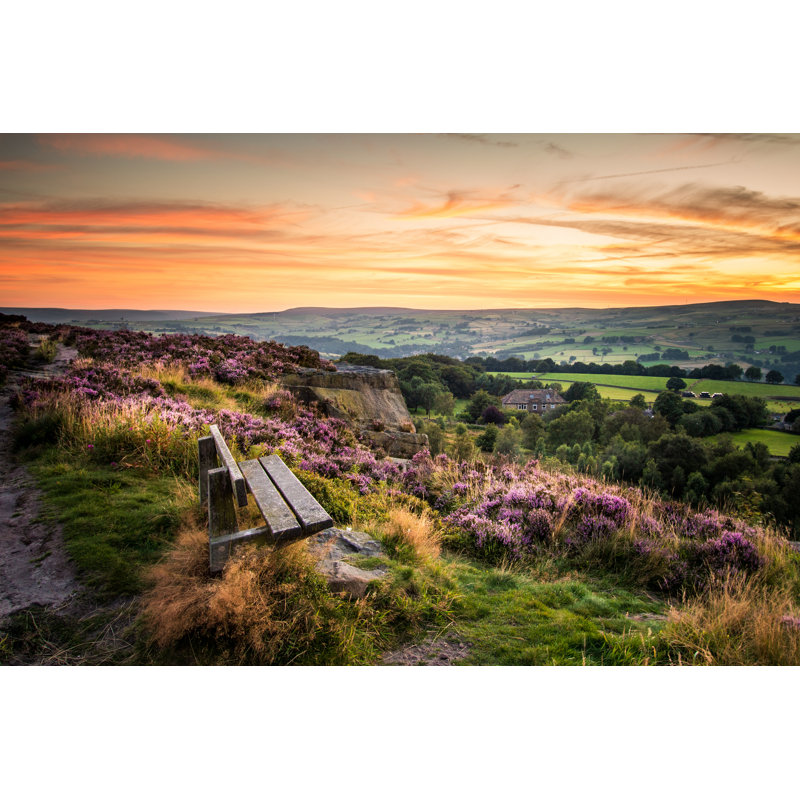 Heather In Full Bloom by Chris2766 - Wrapped Canvas Print, 30cm H x 46cm W