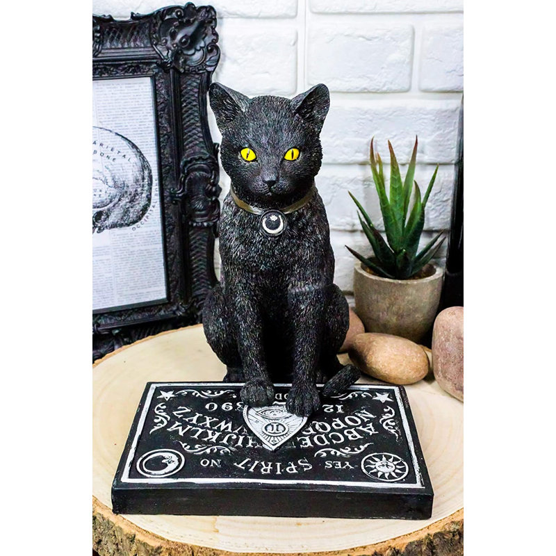 Jonesha, chat noir d'Halloween