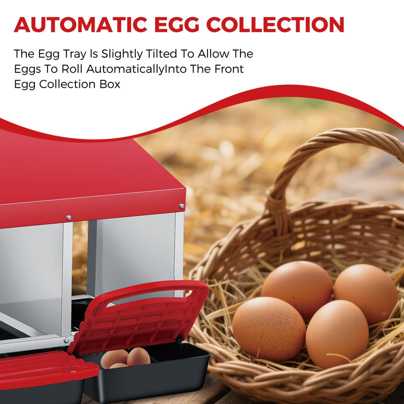 Chicken Egg Incubator For Up To