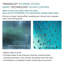 Porte de douche sans cadre 44 "x H 80" avec technologie TruMotion-69322955