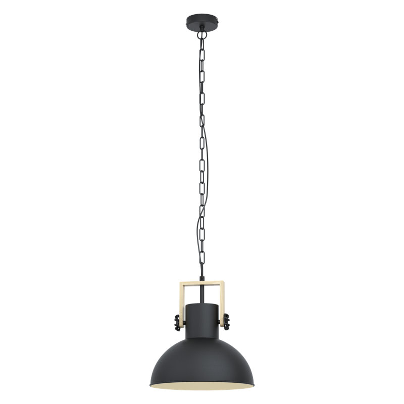 Roiguez 1 - Light Single Pendant