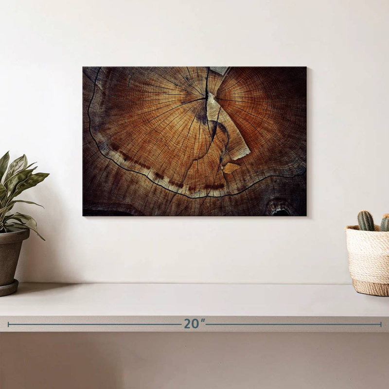 Harnek Tree Ring Texture, 8" H x 12" W