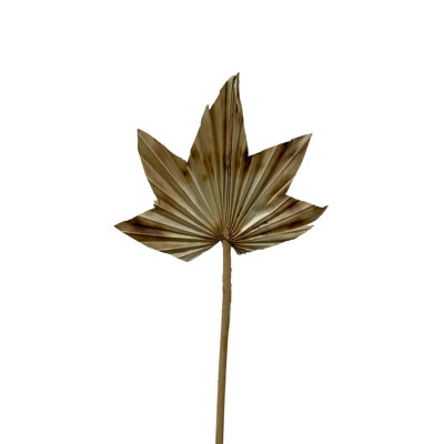 Fallon Arrangement