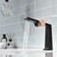 Robinet pour salle de bain à poignée simple-93746410
