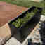 Customer photo 3 of 4