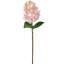 Tige d'hortensia Pinnacle 25 po -419592385