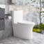 Toilette allongée à jet double siphonique 1,1 / 1,6 GPF Kiddie Furniture