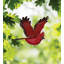 Mobile oiseau en vol - Cardinal