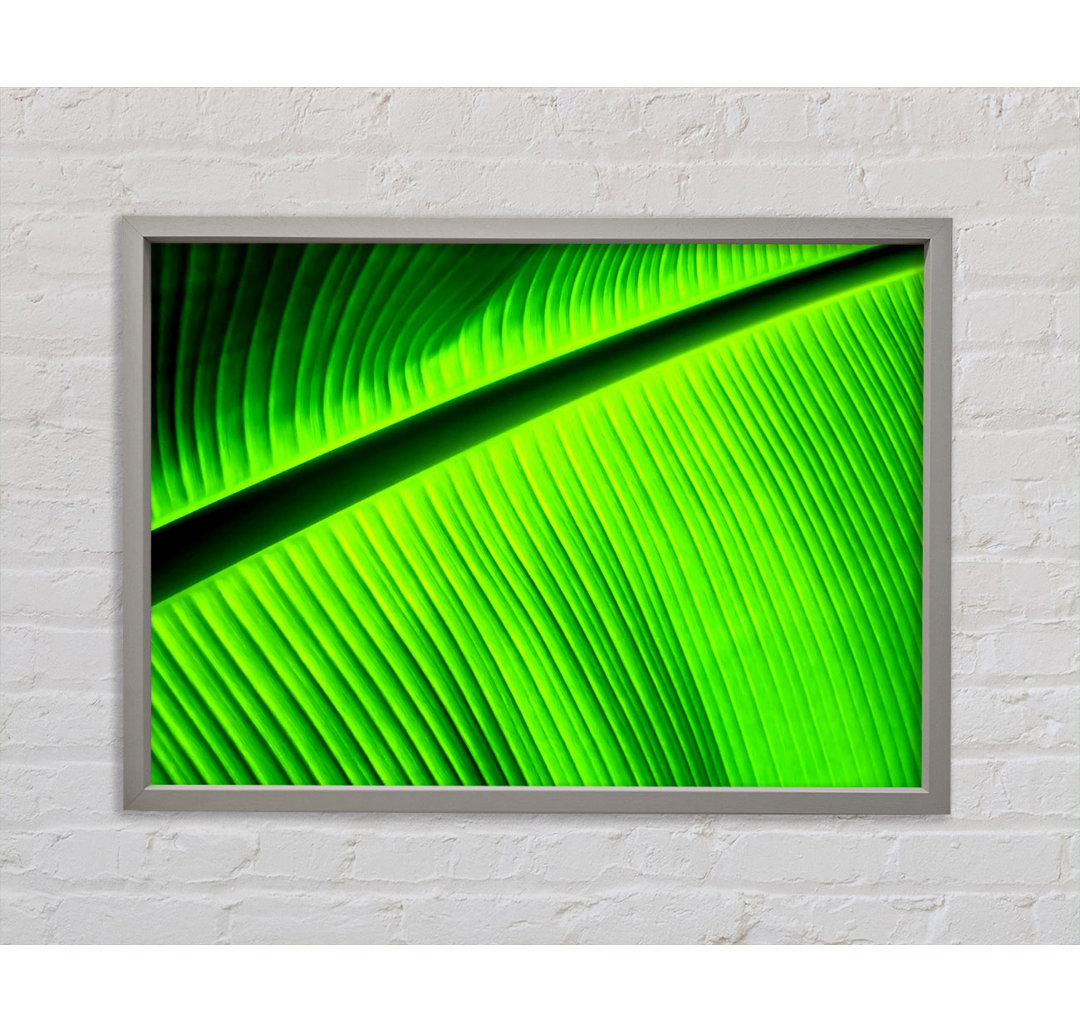 Light Of The Green Leaf - Einzelner Bilderrahmen Kunstdrucke auf Leinwand