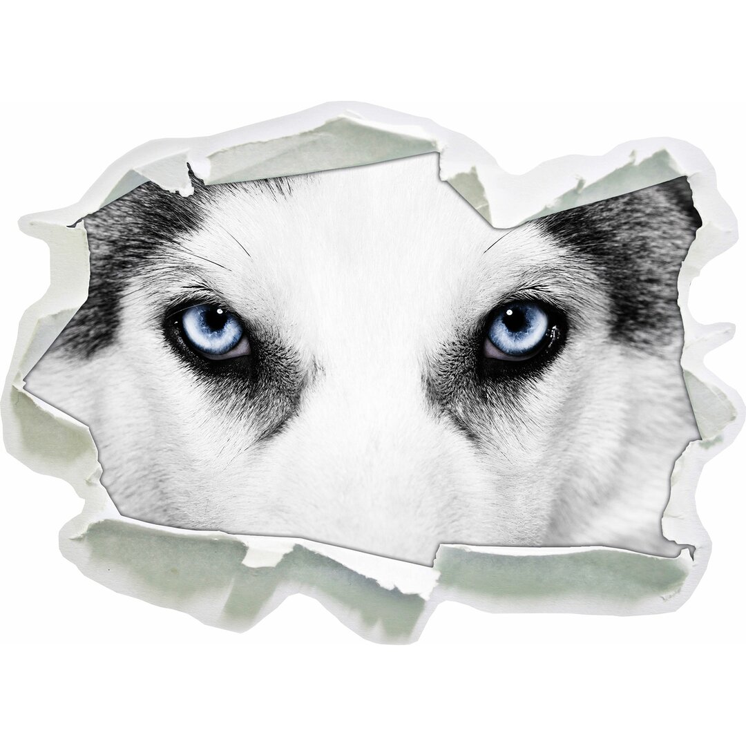 Wandtattoo Husky mit Eisblauen Augen