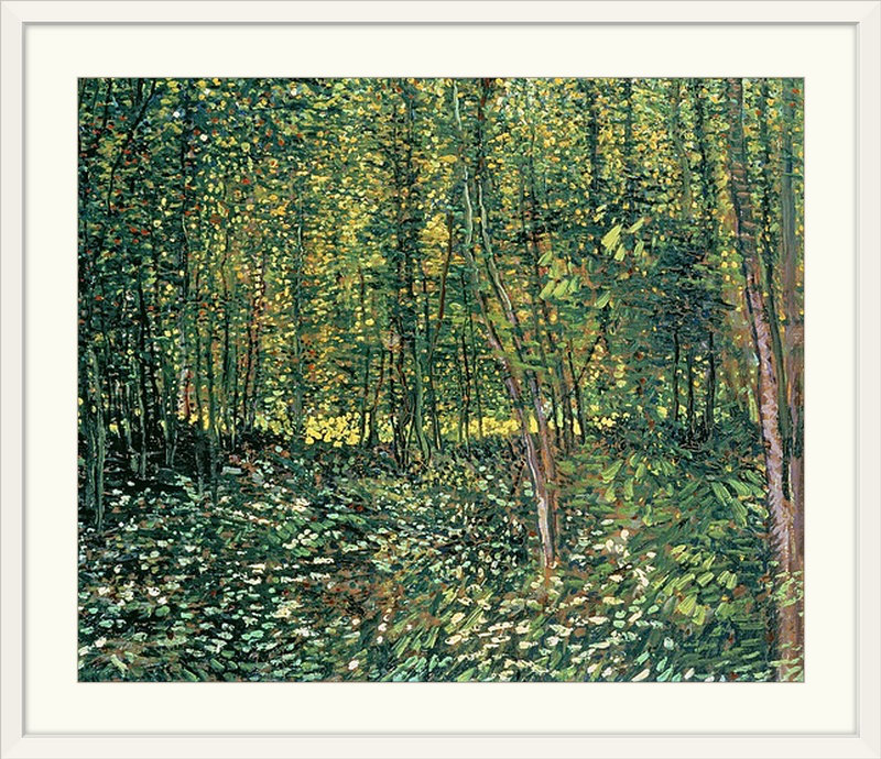 «Trees and Undergrowth, 1887» par Vincent Van Gogh, reproduction d'art, H 32 po x l 38 po x P 1 po, Cadre blanc