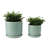 Set Of 2 Ceramic Planters With Textured Bubble Surface And Saucers - Modern Decorative Container Pots For Stylish Indoor Display And Versatile Plant Arrangements-878722645