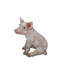 Statue porc assis
