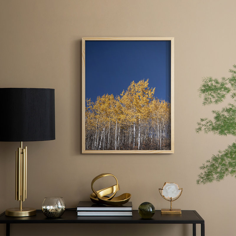 Amber in the Forest, reproduction encadrée - bois massif, H 11 po x l 9 po