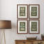 Argent I - ensemble de 4 reproductions de cadres photo-1800171748-1800171754