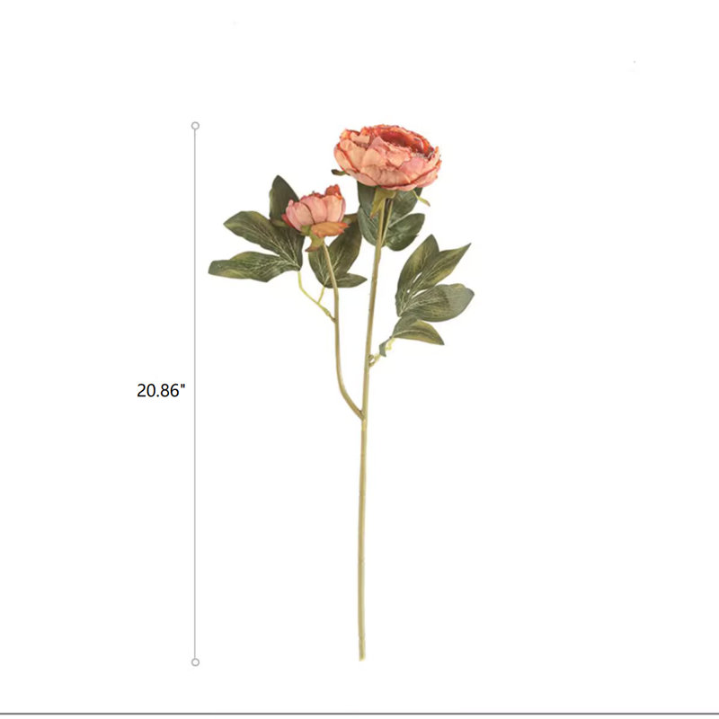 Arrangement