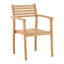 Verdant Outdoor Dining Chair