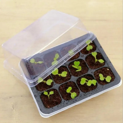 Plateau de démarrage à 12 trous pour plantes