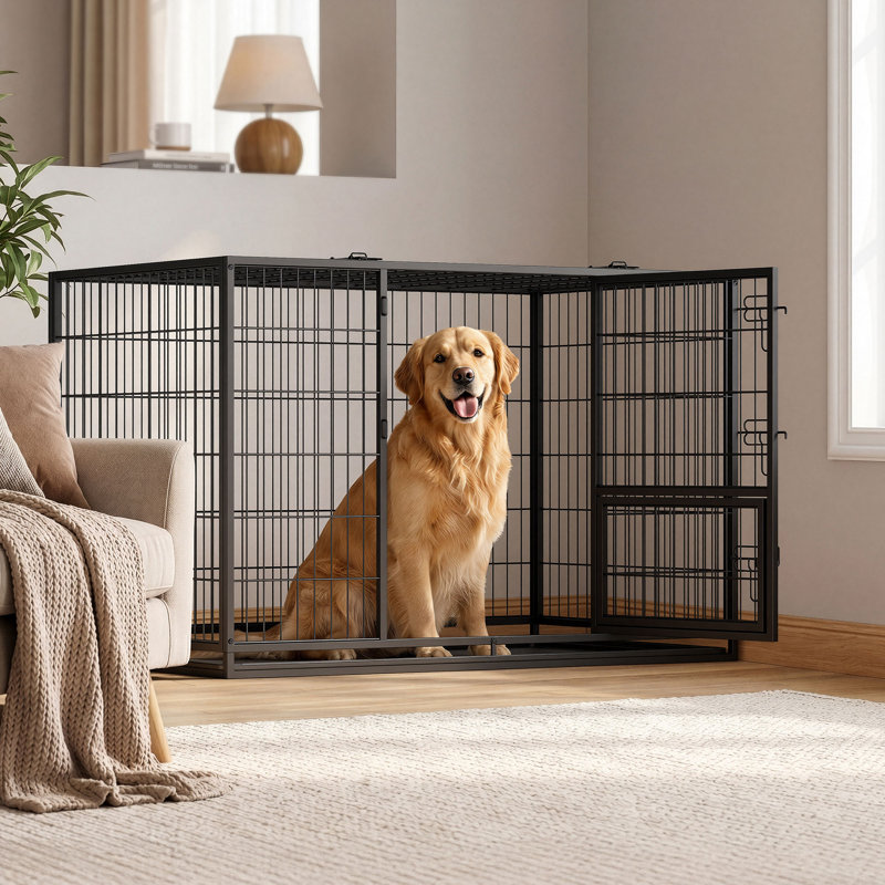 Caisse pour chien robuste avec plateau amovible, H 48,3 po x l 29,33 po x P 31,69 po