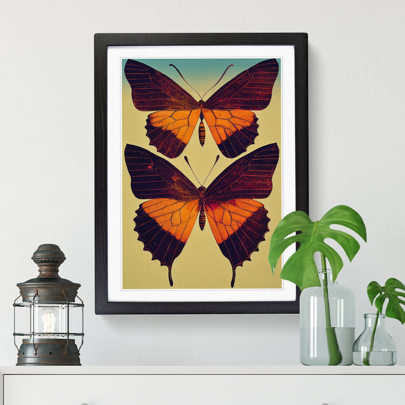 Butterfly Collage - Single Picture Frame Print, Black Framed, 64cm H x 46cm W