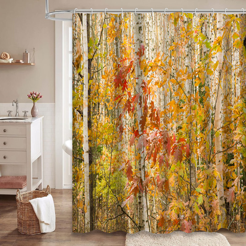Rideau de douche à 12 crochets Forest Birch Trees, L 72 po x l 72 po