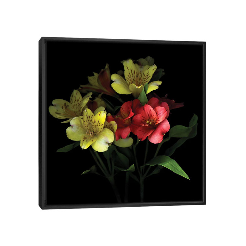 Célébration, impression sur toile tendue, H 18 po x l 18 po x P 1,5 po, Toile avec cadre noir, Pas de tapis