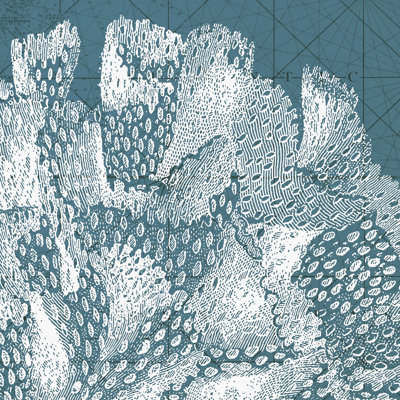 " Coastal Menagerie III "