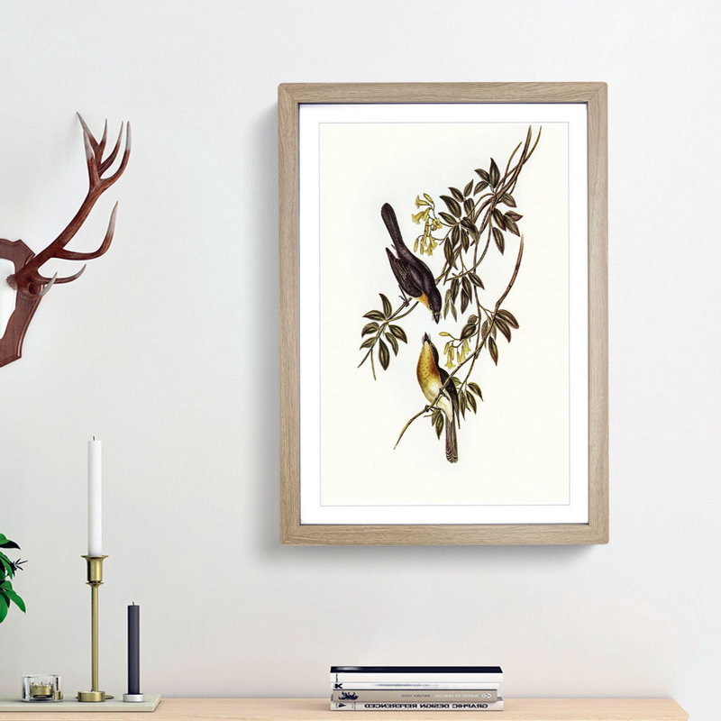 Broad Billed Flycatchers by Elizabeth Gould - Picture Frame Graphic Art Print, 48cm H x 36cm W x 2cm D, Oak Framed