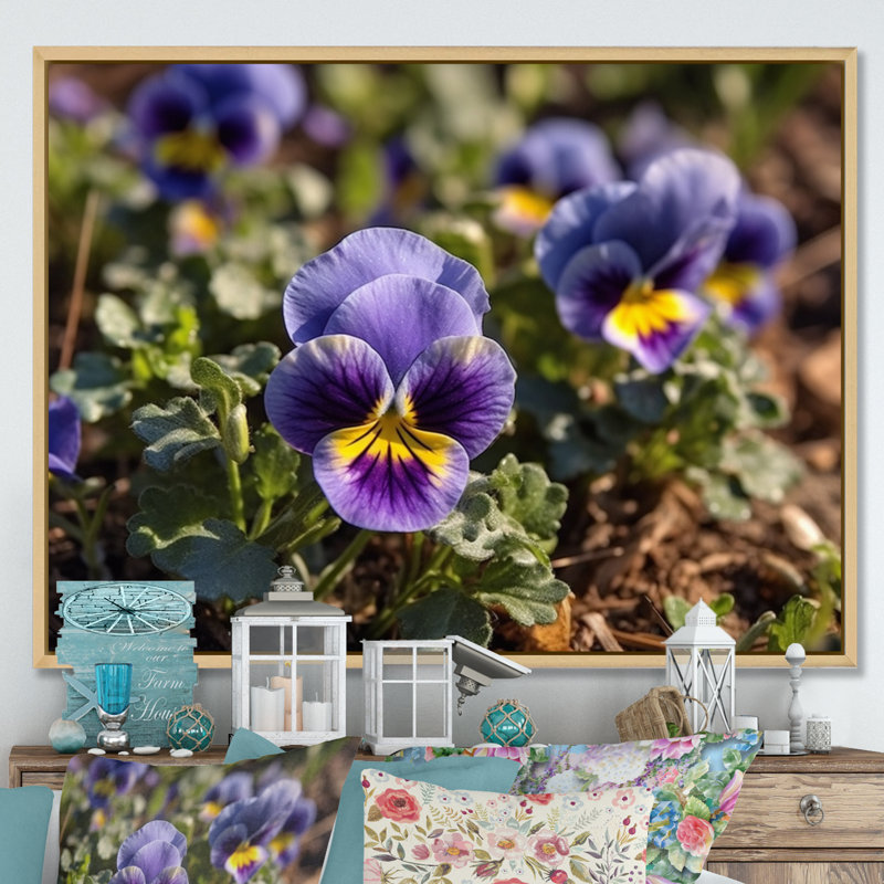 «Purple Yellow Pansies Harmony I» sur toile, H 34 po x l 44 po x P 1,5 po, Cadre naturel flottant