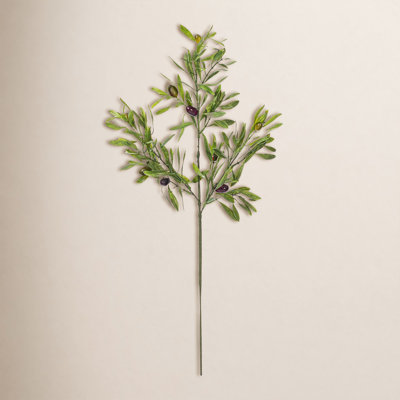 Olive Leaf Floral Stems