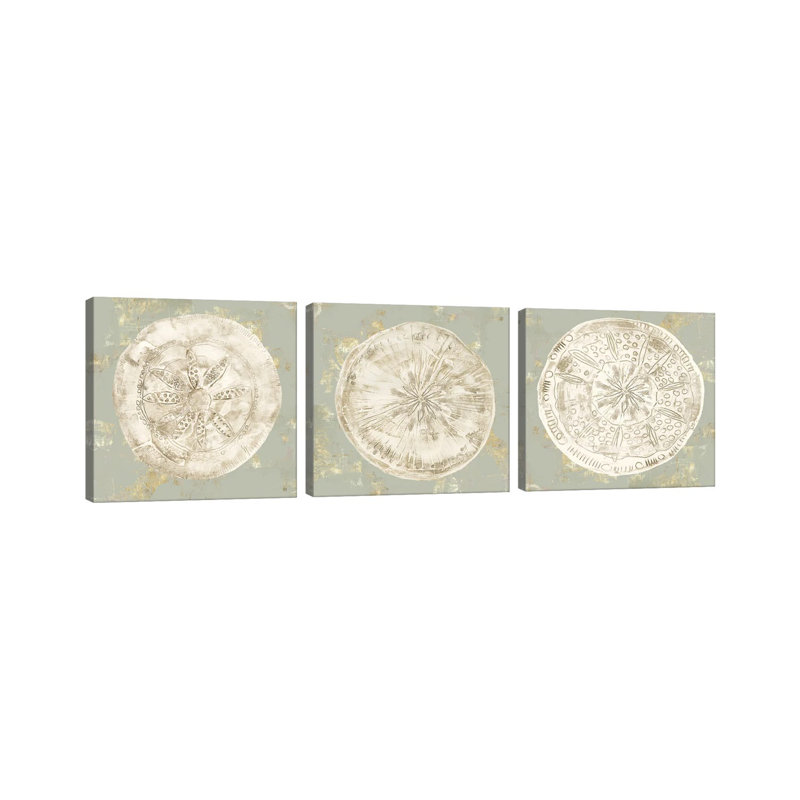 «Cone Shells Triptych», ensemble d'art mural sur toile tendue (ensemble de 3)