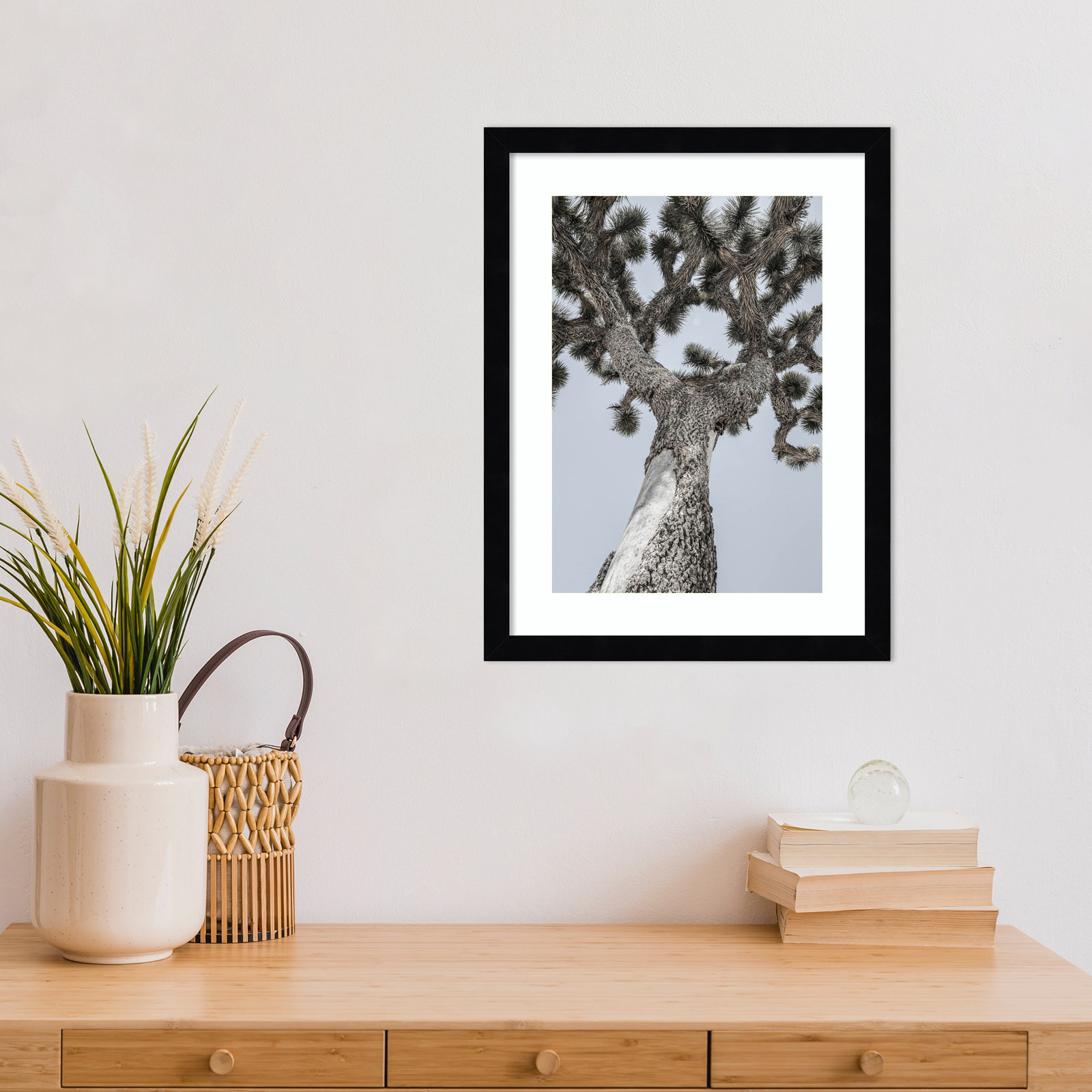 Daisey "Joshua" Print by Shot by Clint, 17" H x 13" W, Black 