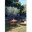 Balad Outdoor Lantern Accessory-83887088