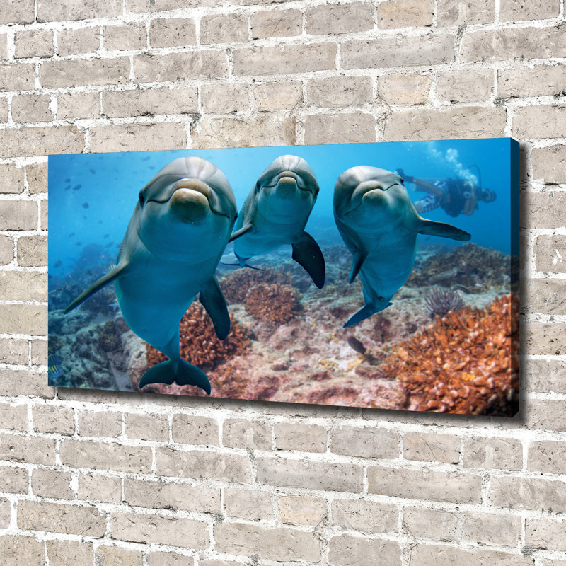 Dolphins - Wrapped Canvas Print, Canvas, 70cm H x 140cm W