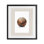 «Vintage Sports Basketball», reproduction encadrée sous verre, design par Christine Simpson Art