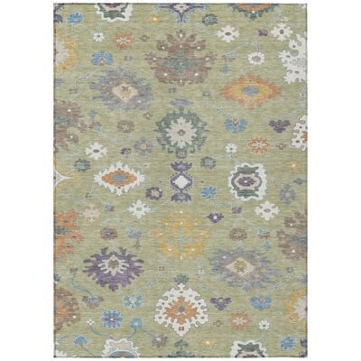 Machine Washable Indoor/Outdoor Chantille ACN2532 Traditional Rug