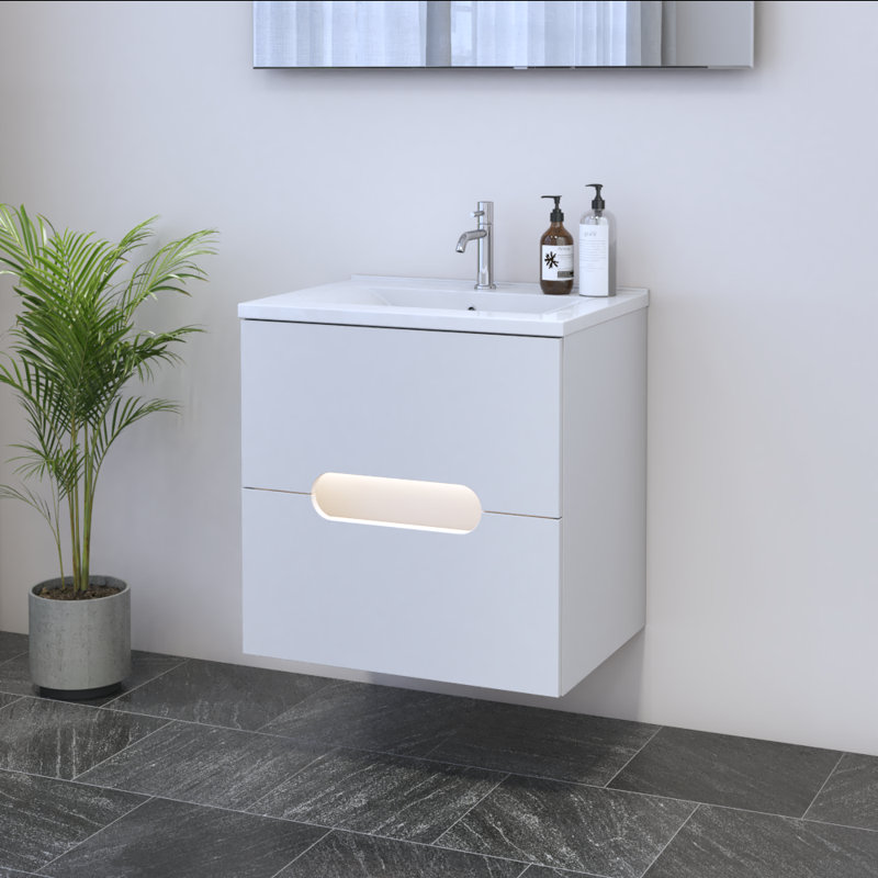 Kashden 23.6'' Single Bathroom Vanity with Top