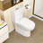 Elongated 17.5" Standard Height One-Piece Toilet Siphonic Flush One-Piece Dual-Flush Toilet (Seat Included)-125361179-125361177