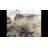 Mckee Performance Abstract Rug-24830992