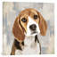 Beagle 1 Piece Wrapped Canvas Wall Art-42160238