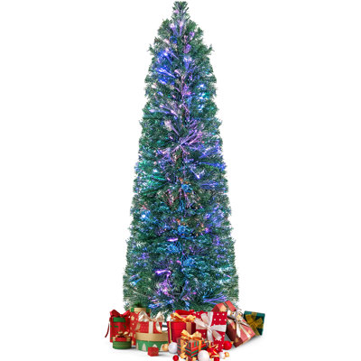 Lighted Pine Christmas Tree