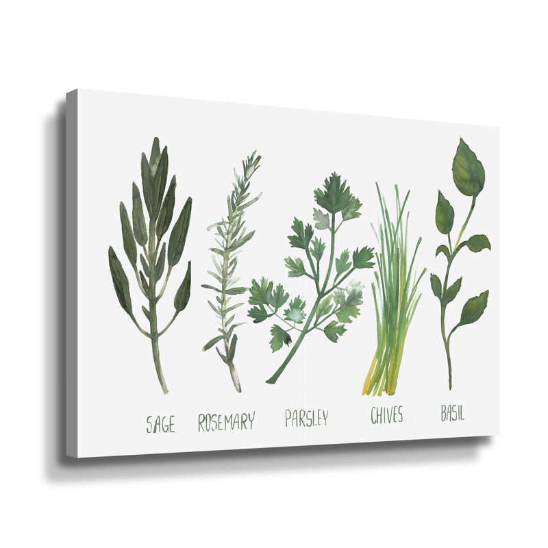 «Watercolor Herbs» par Portfolio Dogwood - reproduction d'art sur toile, Toile tendue, H 18 po x l 24 po x P 2 po