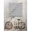 Cod - Single Picture Frame Print-862498619