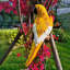 Ceramic Garden Statue-1075531160